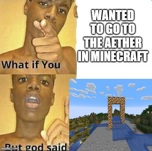 RIP.. | WANTED TO GO TO THE AETHER IN MINECRAFT | image tagged in what if you-but god said,aether,minecraft,dimensions,funny,memes | made w/ Imgflip meme maker
