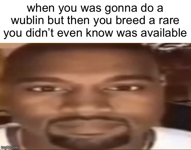 bruj | when you was gonna do a wublin but then you breed a rare you didn’t even know was available | image tagged in kanye staring | made w/ Imgflip meme maker