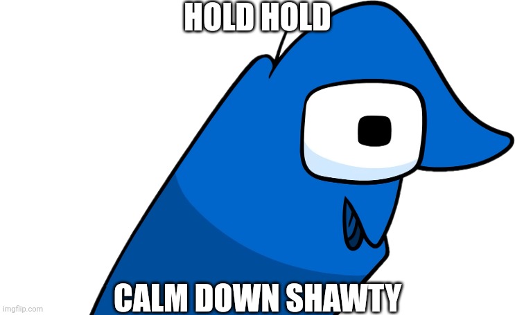 new reaction image just dropped | HOLD HOLD; CALM DOWN SHAWTY | made w/ Imgflip meme maker