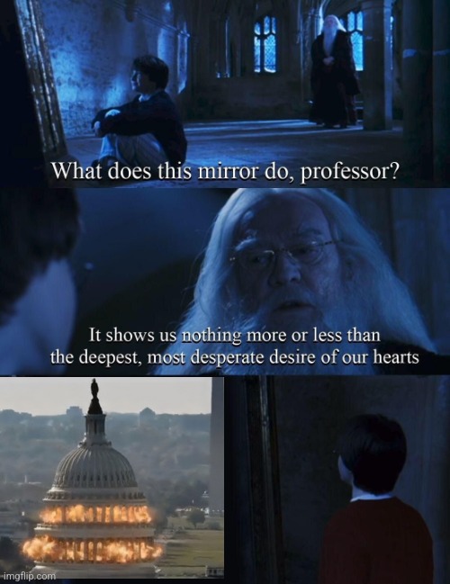 What does this mirror do professor? | image tagged in what does this mirror do professor | made w/ Imgflip meme maker