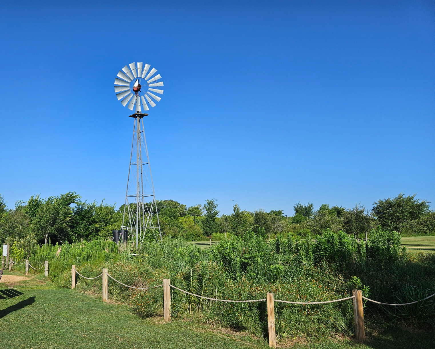 High Quality Windmill Blank Meme Template