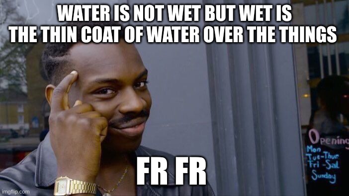 water | WATER IS NOT WET BUT WET IS THE THIN COAT OF WATER OVER THE THINGS; FR FR | image tagged in memes,roll safe think about it | made w/ Imgflip meme maker