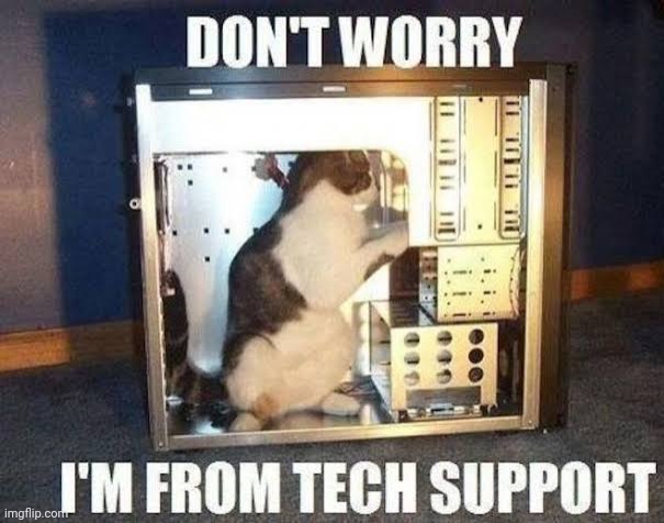 Tech support cat | image tagged in memes,cat,fun | made w/ Imgflip meme maker