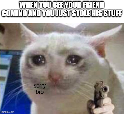 rip | WHEN YOU SEE YOUR FRIEND COMING AND YOU JUST STOLE HIS STUFF; sorry
bro | image tagged in sad cat with gun,gaming,minecraft,memes | made w/ Imgflip meme maker
