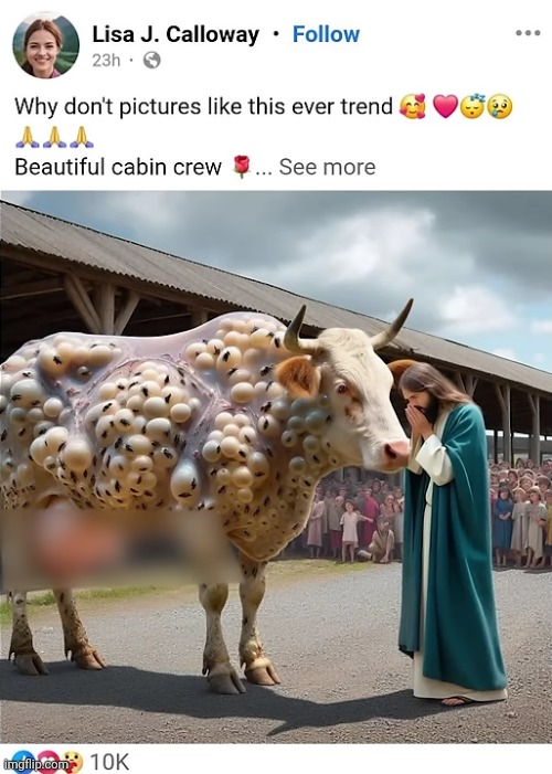 Beautiful cabin crew | image tagged in facebook | made w/ Imgflip meme maker