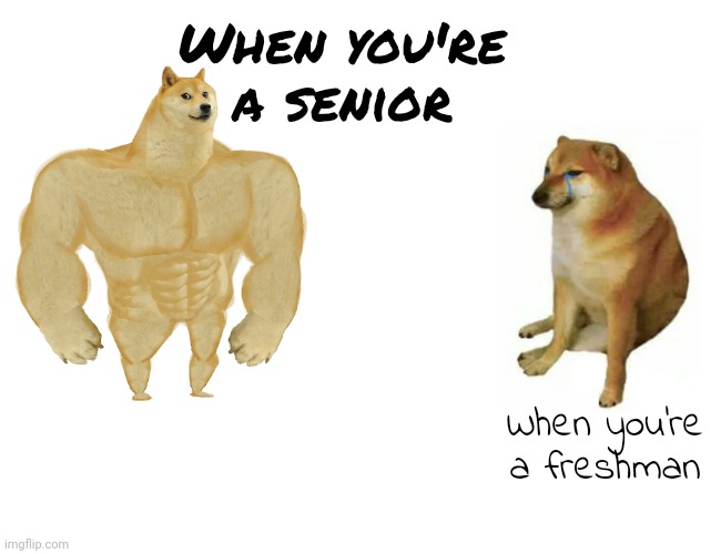 Remember Freshman Initiations? Pushing Pennies Across The Gym Floor With Your Nose Was Funny To Watch But Hard To Do | When you're a senior; When you're a freshman | image tagged in memes,buff doge vs cheems,freshmen,seniors,high school,old school | made w/ Imgflip meme maker