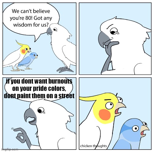Custom ur wise cockatoo | if you dont want burnouts on your pride colors, dont paint them on a street | image tagged in custom ur wise cockatoo | made w/ Imgflip meme maker
