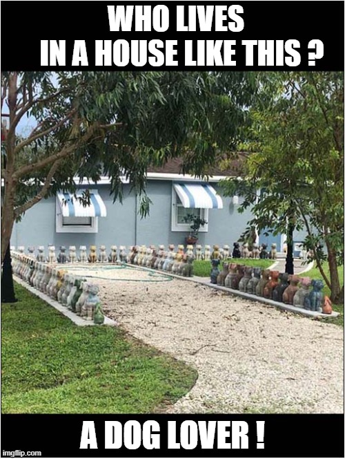 Too Many Dog Statues ! | WHO LIVES
  IN A HOUSE LIKE THIS ? A DOG LOVER ! | image tagged in dogs,statues,dog lover | made w/ Imgflip meme maker