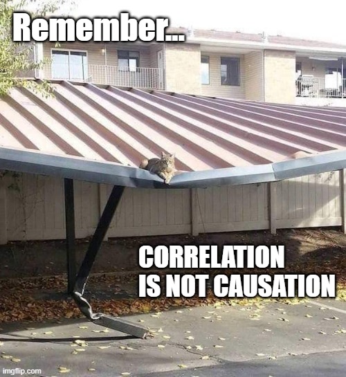 Correlation Is Not Causation Cat | Remember... CORRELATION IS NOT CAUSATION | image tagged in correlation,causation,cat,science,statistics | made w/ Imgflip meme maker