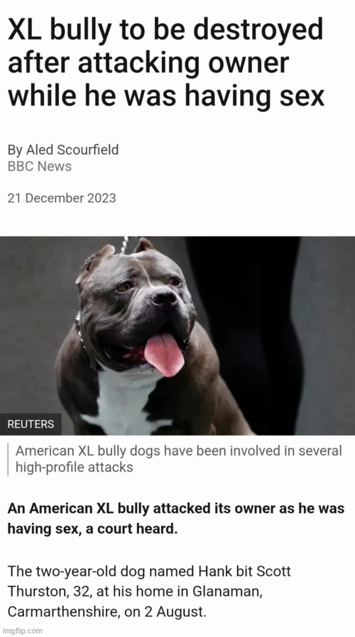 why are they saying destroyed and not euthanized | made w/ Imgflip meme maker