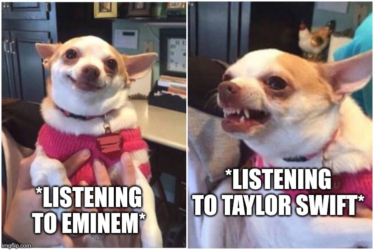 Happy chihuahua angry chihuahua  | *LISTENING TO TAYLOR SWIFT* *LISTENING TO EMINEM* | image tagged in happy chihuahua angry chihuahua | made w/ Imgflip meme maker