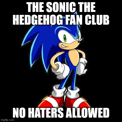 The fan club in the comments | THE SONIC THE HEDGEHOG FAN CLUB; NO HATERS ALLOWED | image tagged in memes,you're too slow sonic | made w/ Imgflip meme maker