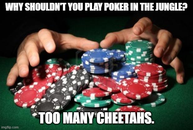 Daily Bad Dad Joke June 21, 2024 | WHY SHOULDN'T YOU PLAY POKER IN THE JUNGLE? TOO MANY CHEETAHS. | image tagged in poker chips | made w/ Imgflip meme maker