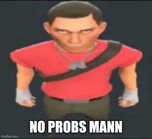 bro | NO PROBS MANN | image tagged in bro | made w/ Imgflip meme maker