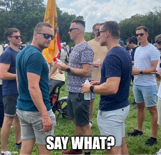 say what? | SAY WHAT? | image tagged in meme | made w/ Imgflip meme maker