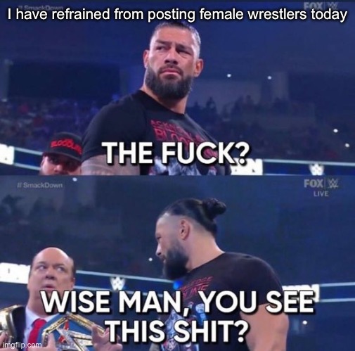 Wise man, you see this shit? | I have refrained from posting female wrestlers today | image tagged in wise man you see this shit | made w/ Imgflip meme maker