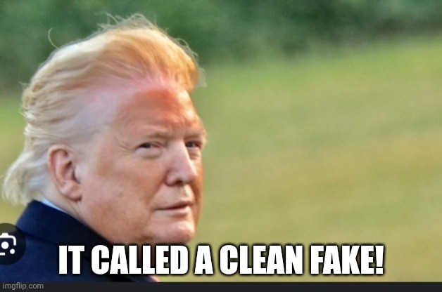 Drag trump | IT CALLED A CLEAN FAKE! | image tagged in drag trump | made w/ Imgflip meme maker