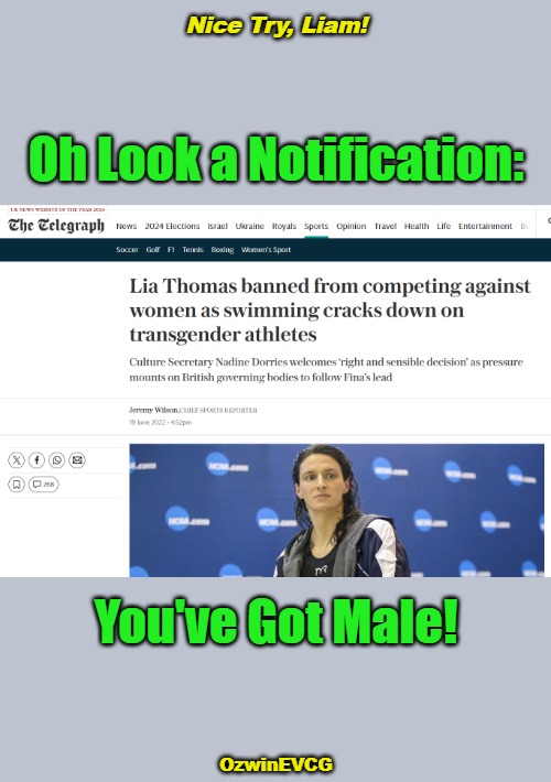 Remember: You're a Woman If You Say You Are, Just Like You Become English If You Move to England, Just Like... | Nice Try, Liam! Oh Look a Notification:; You've Got Male! OzwinEVCG | image tagged in lia thomas,you've got male,liam thomas,you've got mail,transgenderism,identity | made w/ Imgflip meme maker