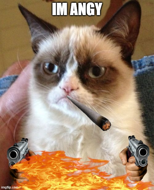Grumpy Cat Meme | IM ANGY | image tagged in memes,grumpy cat | made w/ Imgflip meme maker