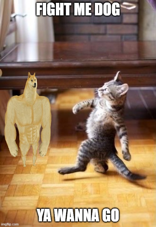 Cool Cat Stroll Meme | FIGHT ME DOG; YA WANNA GO | image tagged in memes,cool cat stroll | made w/ Imgflip meme maker