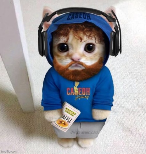 Caseoh cat | image tagged in memes,funny,caseoh,shitpost,cat | made w/ Imgflip meme maker