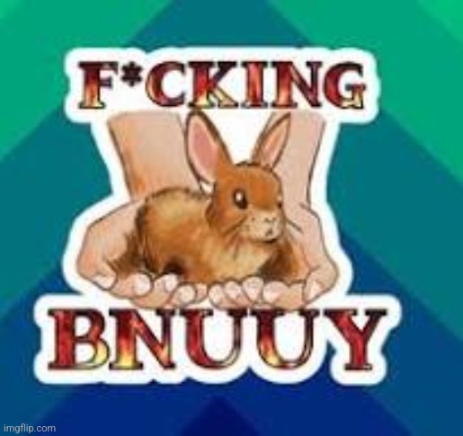 BNUUY | image tagged in bnuuy | made w/ Imgflip meme maker