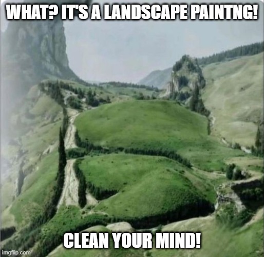 Painting | WHAT? IT'S A LANDSCAPE PAINTNG! CLEAN YOUR MIND! | image tagged in adult humor | made w/ Imgflip meme maker