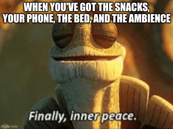Finally, inner peace. | WHEN YOU'VE GOT THE SNACKS, YOUR PHONE, THE BED, AND THE AMBIENCE | image tagged in finally inner peace | made w/ Imgflip meme maker