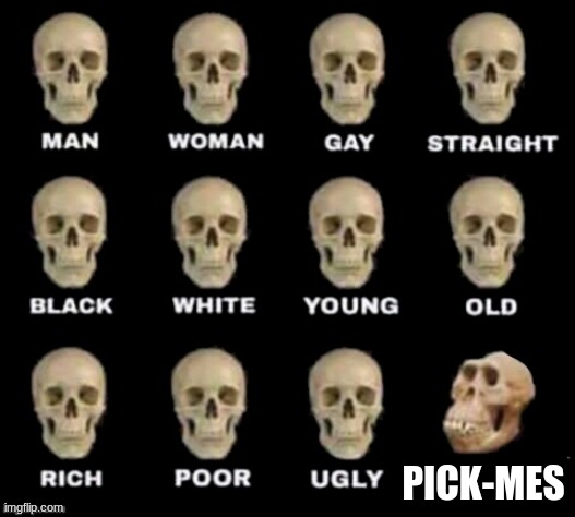 idiot skull | PICK-MES | image tagged in idiot skull | made w/ Imgflip meme maker