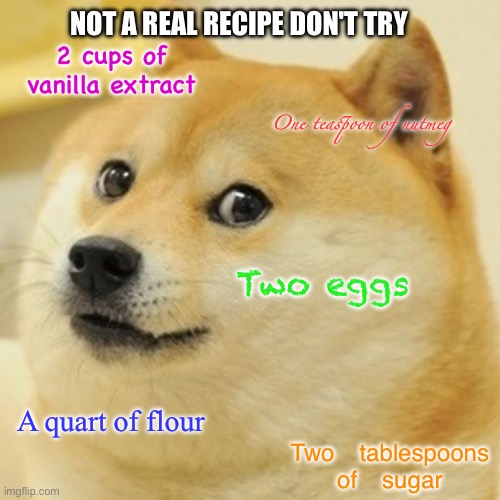 Doge | NOT A REAL RECIPE DON'T TRY; 2 cups of vanilla extract; One teaspoon of nutmeg; Two eggs; A quart of flour; Two tablespoons of sugar | image tagged in memes,doge,food,vanilla,extract | made w/ Imgflip meme maker