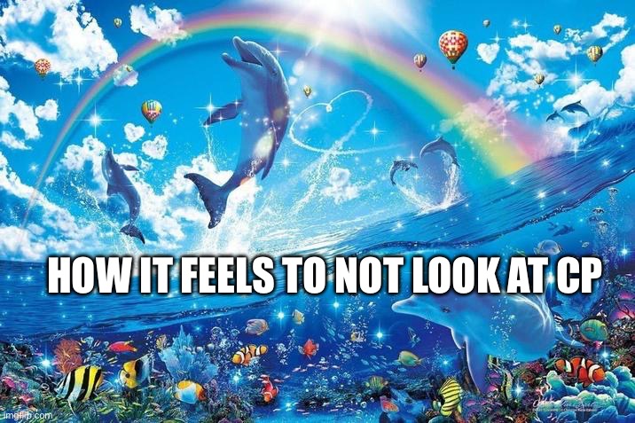 Happy dolphin rainbow | HOW IT FEELS TO NOT LOOK AT CP | image tagged in happy dolphin rainbow | made w/ Imgflip meme maker