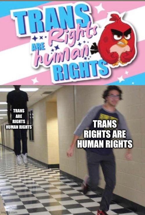 Y | TRANS ARE RIGHTS HUMAN RIGHTS; TRANS RIGHTS ARE HUMAN RIGHTS | image tagged in floating boy chasing running boy | made w/ Imgflip meme maker