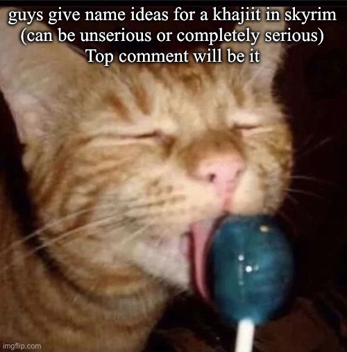 silly goober 2 | guys give name ideas for a khajiit in skyrim
(can be unserious or completely serious)
Top comment will be it | image tagged in silly goober 2 | made w/ Imgflip meme maker