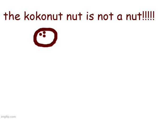 the kokonut nut is not a nut!!!!! | made w/ Imgflip meme maker