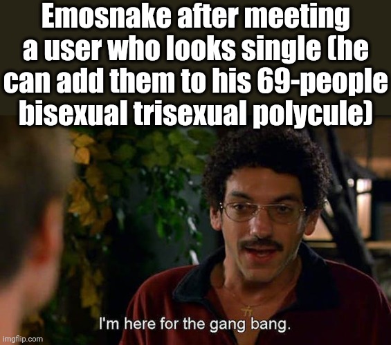I'm here for the gang bang. | Emosnake after meeting a user who looks single (he can add them to his 69-people bisexual trisexual polycule) | image tagged in i'm here for the gang bang | made w/ Imgflip meme maker