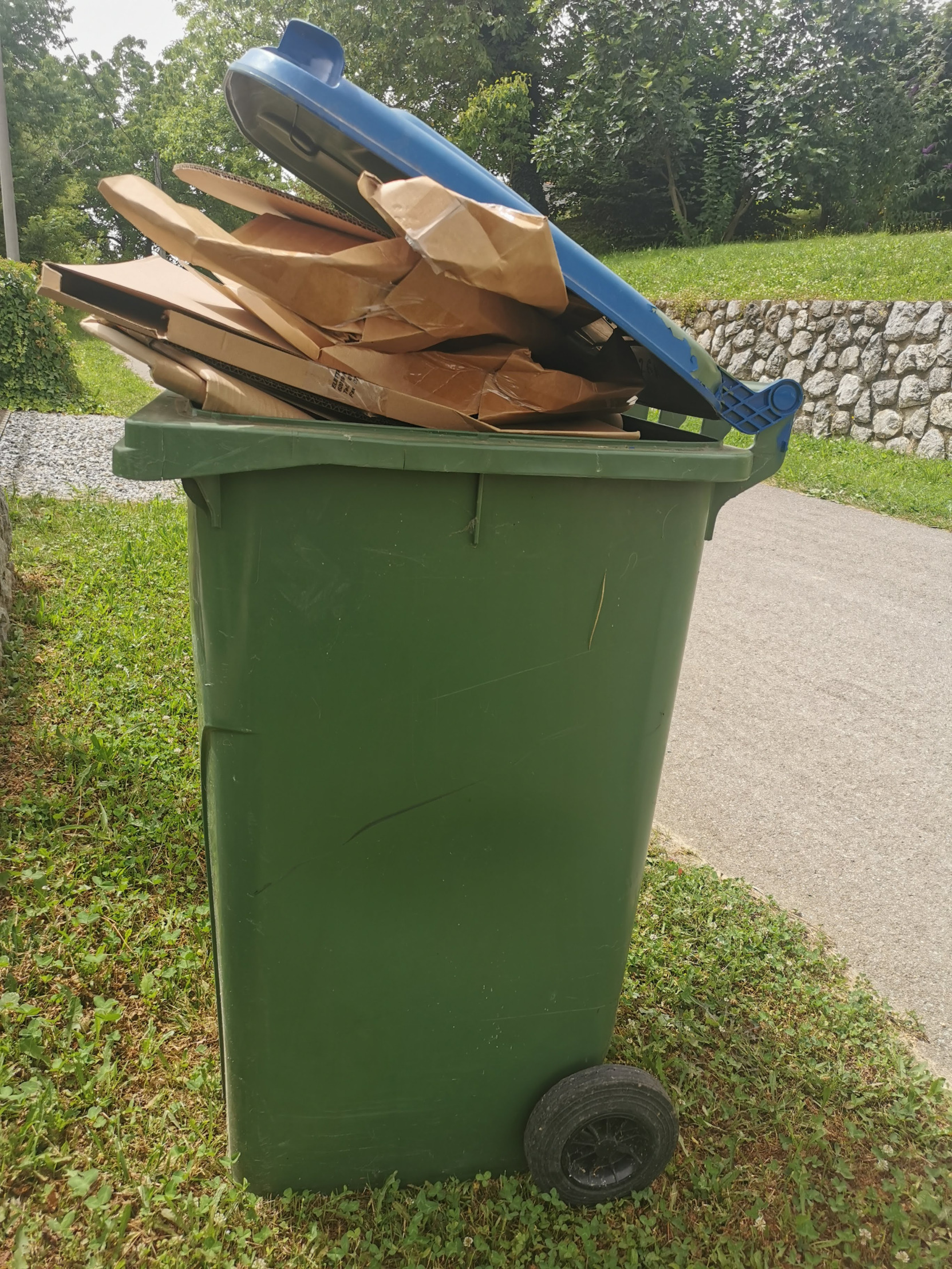 trash Blank Meme Template