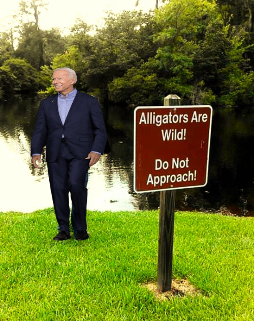 High Quality Joe Biden can't read signs Blank Meme Template