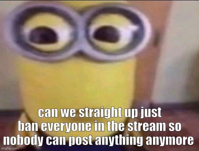 Minion Stare | can we straight up just ban everyone in the stream so nobody can post anything anymore | image tagged in minion stare | made w/ Imgflip meme maker