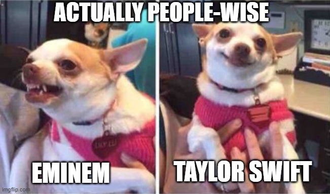 chiuaua | TAYLOR SWIFT EMINEM ACTUALLY PEOPLE-WISE | image tagged in chiuaua | made w/ Imgflip meme maker
