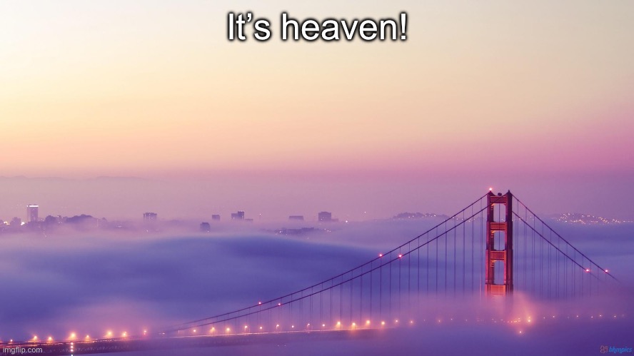 golden gate fog | It’s heaven! | image tagged in golden gate fog | made w/ Imgflip meme maker