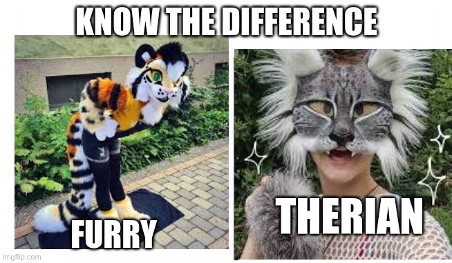 idk | KNOW THE DIFFERENCE; THERIAN; FURRY | image tagged in know the differences | made w/ Imgflip meme maker