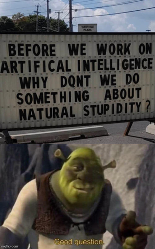 image tagged in shrek good question,memes | made w/ Imgflip meme maker