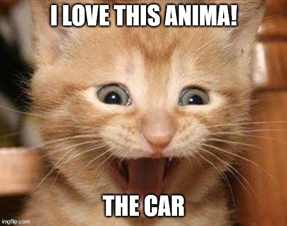 The Car (or is it the Cate?) | I LOVE THIS ANIMA! THE CAR | image tagged in memes,excited cat | made w/ Imgflip meme maker