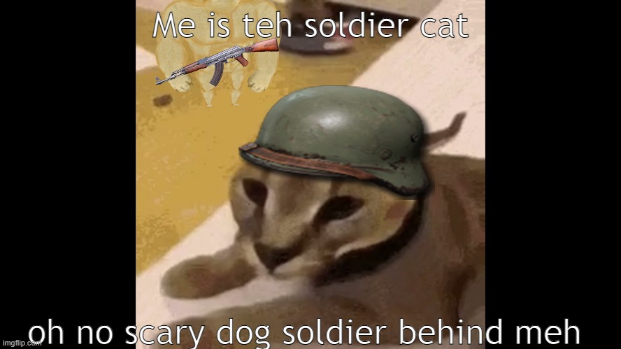 Dunno Beluga Hecker | Me is teh soldier cat; oh no scary dog soldier behind meh | image tagged in dunno beluga hecker | made w/ Imgflip meme maker