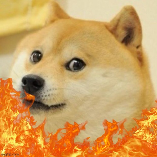 wow doge | image tagged in wow doge | made w/ Imgflip meme maker