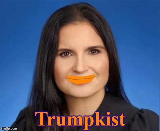 Cannon Trumpkist | Trumpkist | image tagged in disbarred,oprange ass kisser,trump judge,recuse,ceooked trump judge,no death threats | made w/ Imgflip meme maker