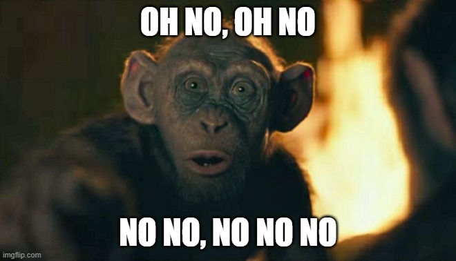 Bad Ape | OH NO, OH NO NO NO, NO NO NO | image tagged in bad ape | made w/ Imgflip meme maker