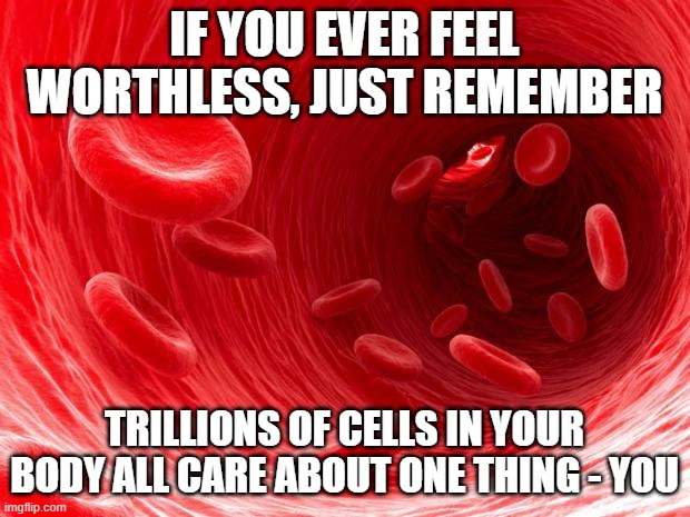 WHOLESOME MEMES #1✨✨✨ | IF YOU EVER FEEL WORTHLESS, JUST REMEMBER; TRILLIONS OF CELLS IN YOUR BODY ALL CARE ABOUT ONE THING - YOU | image tagged in blood cells,wholesome,happy,happiness,remember,i love you | made w/ Imgflip meme maker