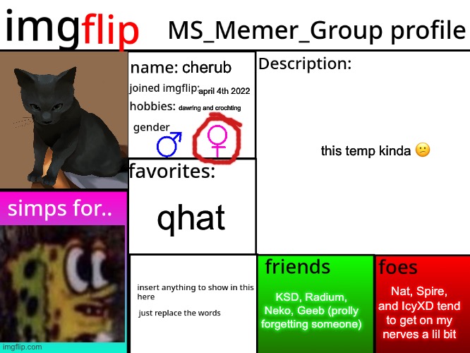 boring | cherub; april 4th 2022; dawring and crochting; this temp kinda 😕; qhat; Nat, Spire, and IcyXD tend to get on my nerves a lil bit; KSD, Radium, Neko, Geeb (prolly forgetting someone) | image tagged in msmg profile | made w/ Imgflip meme maker