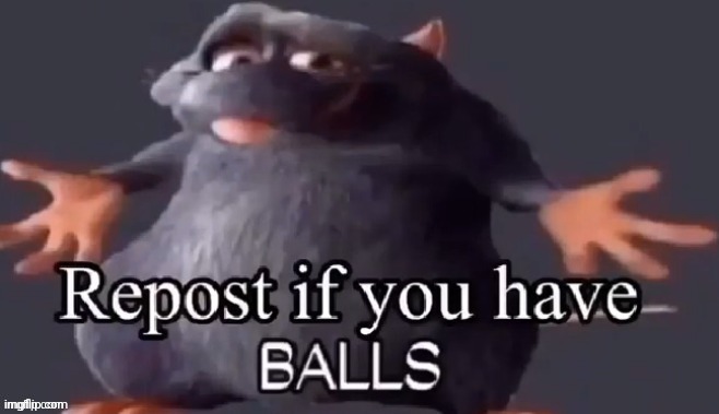 repost if you have balls | image tagged in repost if you have balls | made w/ Imgflip meme maker